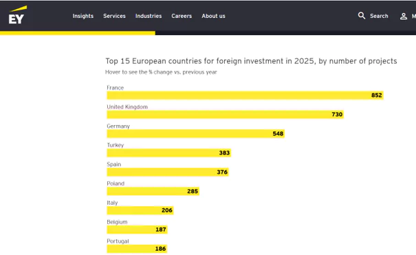 Investitionen im europäischen Ausland - eine Übersicht (english)